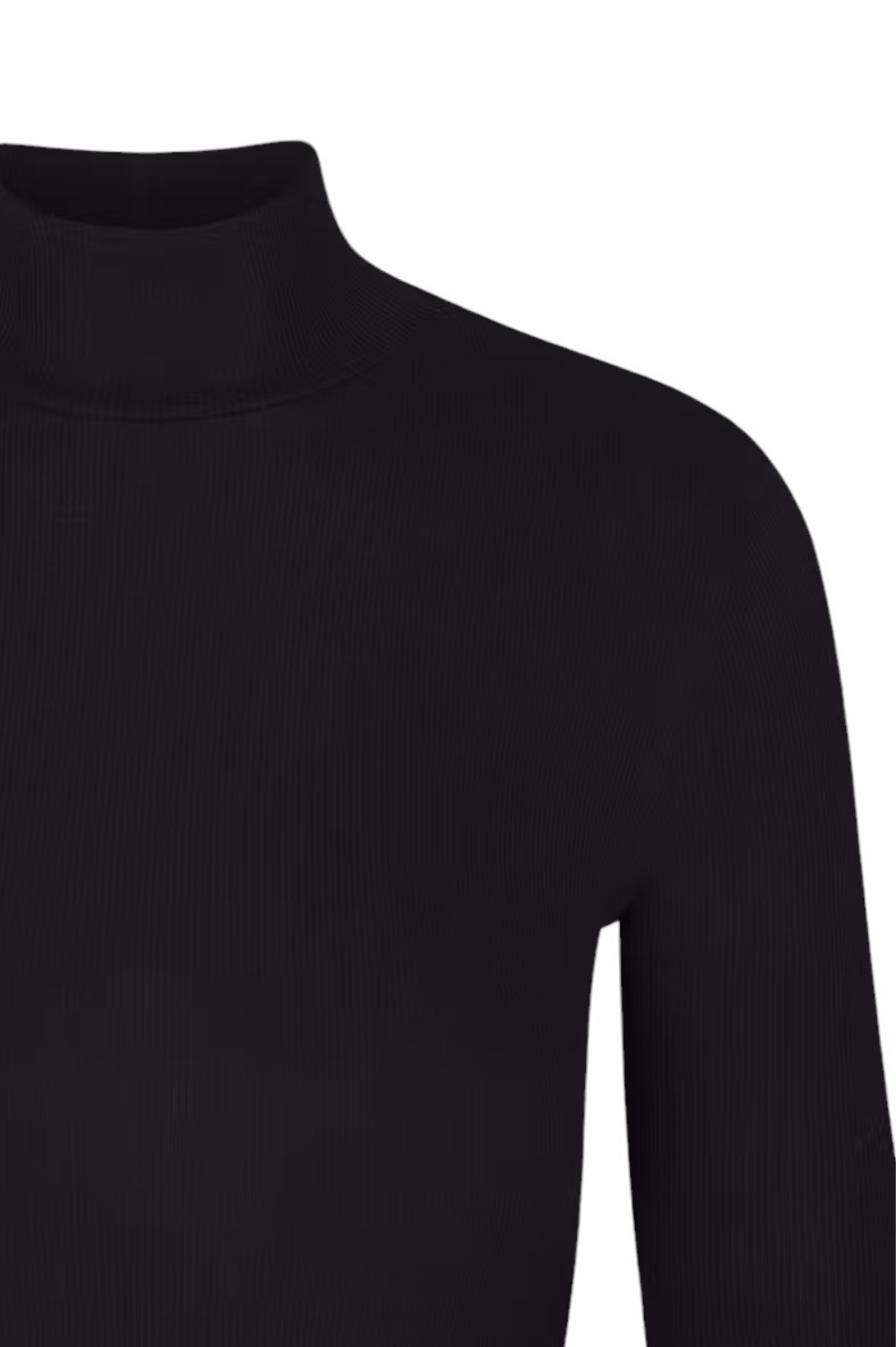 Rib Turtleneck - Black