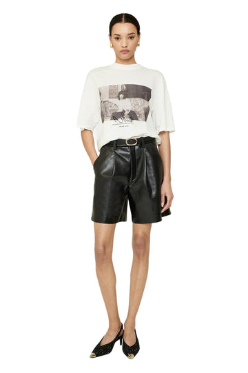 Avi Tee - Mick Jagger