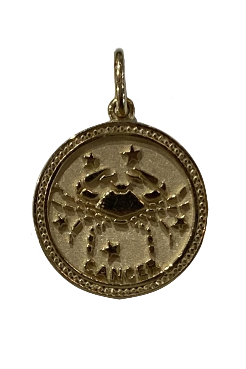 Mini Zodiac Charm